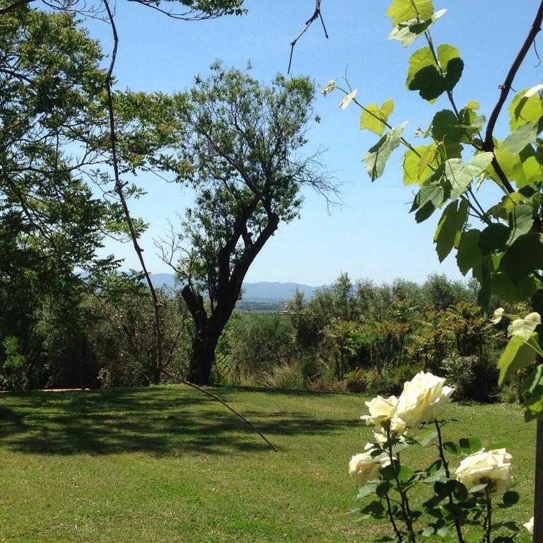 Bed and Breakfast Residenza Santa Maria In Borraccia à Magliano in Toscana Extérieur photo