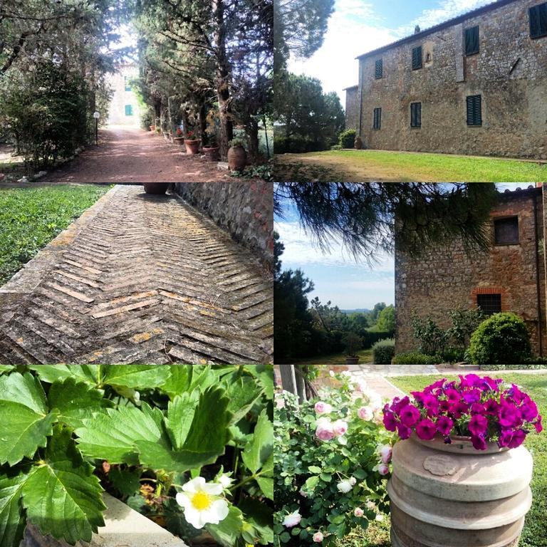 Bed and Breakfast Residenza Santa Maria In Borraccia à Magliano in Toscana Extérieur photo